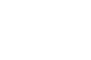 MFI White Logo