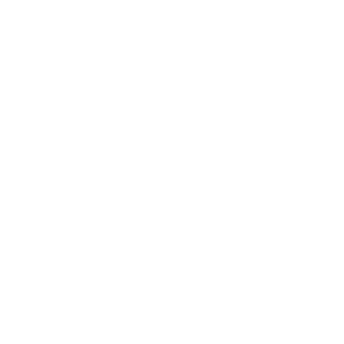 Hands & Feet Project™_HF Circle IconWhite