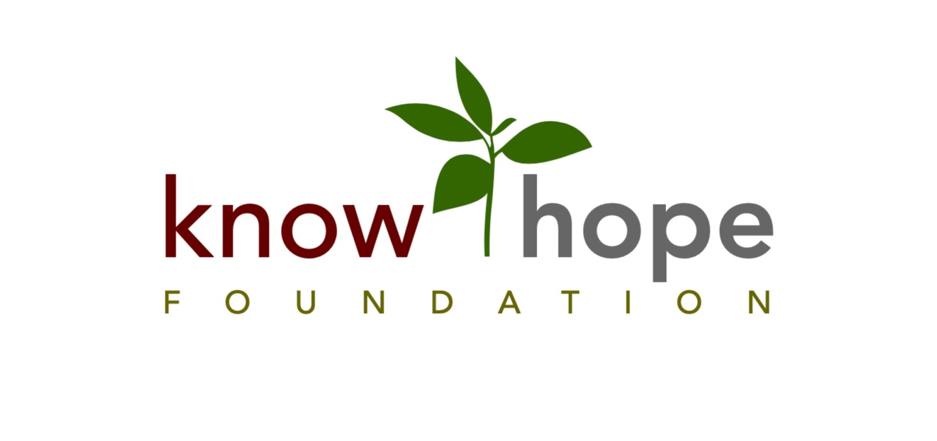 https://handsandfeetproject.org/wp-content/uploads/2025/09/know-hope-foundation-logo.jpg