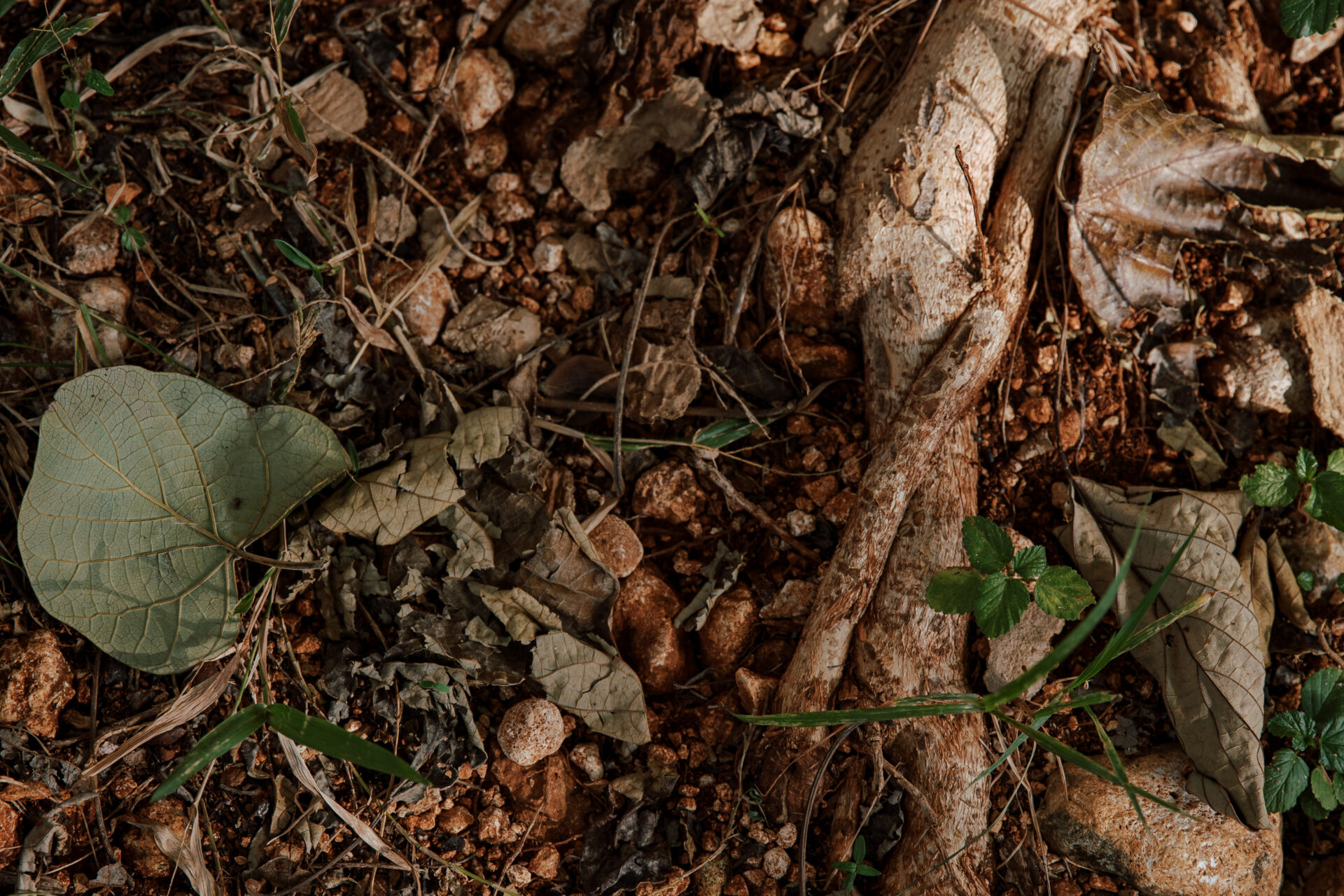 20260115_Fortify Blog Header Image_1