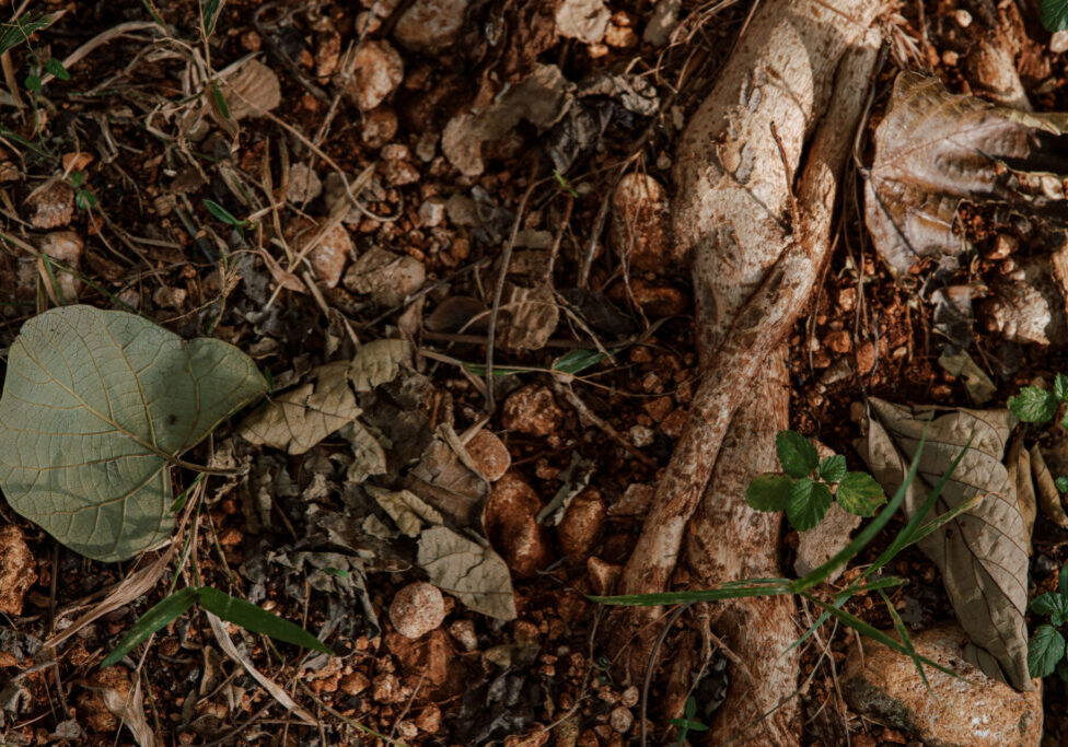 20260115_Fortify Blog Header Image_1