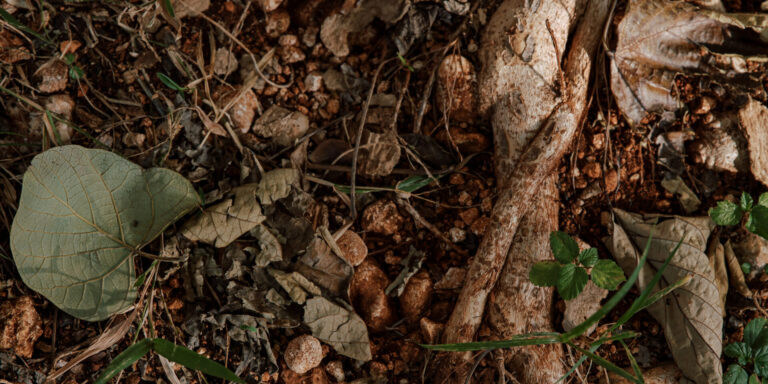 20260115_Fortify Blog Header Image_1